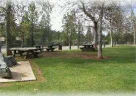 Bring your picnic baskets and enjoy a meal outside with picnic tables and benches.